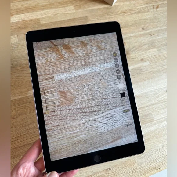 Apple iPad Pro 1st Gen. 256GB, 9.7in